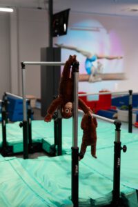 NJ Gymnastics Kinderturnen Galerie 3